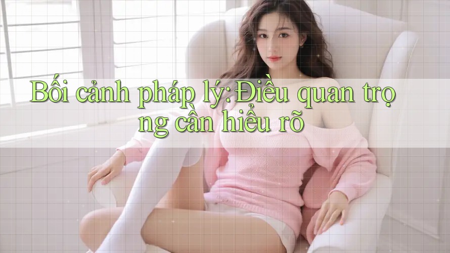 Bối cảnh pháp lý: Điều quan trọng cần hiểu rõ