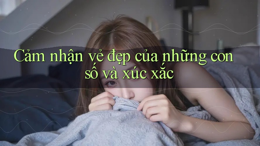 Cảm nhận vẻ đẹp của những con số và xúc xắc