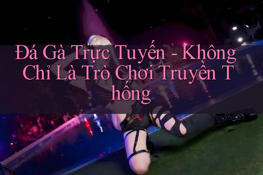 Đá Gà Trực Tuyến - Không Chỉ Là Trò Chơi Truyền Thống