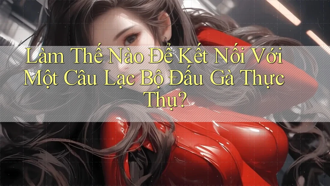 Làm Thế Nào Để Kết Nối Với Một Câu Lạc Bộ Đấu Gà Thực Thụ?