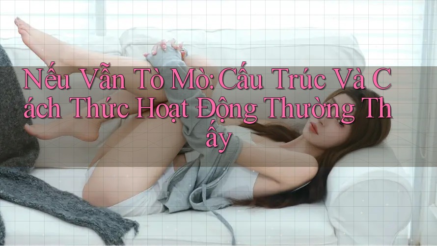 Nếu Vẫn Tò Mò: Cấu Trúc Và Cách Thức Hoạt Động Thường Thấy Nếu Vẫn Tò Mò: Cấu Trúc Và Cách Thức Hoạt Động Thường Thấy