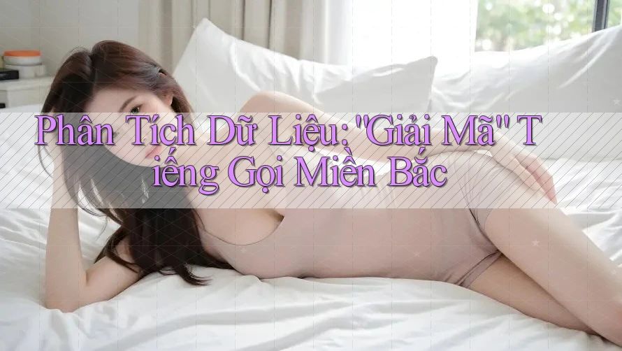 Phân Tích Dữ Liệu: “Giải Mã” Tiếng Gọi Miền Bắc Phân Tích Dữ Liệu: “Giải Mã” Tiếng Gọi Miền Bắc