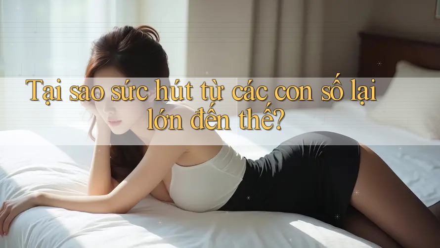 Tại sao sức hút từ các con số lại lớn đến thế? Tại sao sức hút từ các con số lại lớn đến thế?