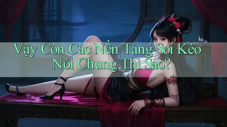 Vậy Còn Các Nền Tảng Soi Kèo Nói Chung Thì Sao?